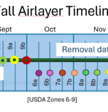 Setting Fall Airlayers in Zones 6-9
